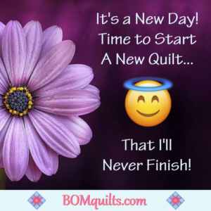 BOMquilts.com's Meme: I always try to look forward to the future! I just have to learn to look in front of me!