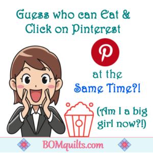 BOMquilts.com's Meme: It's a Pinterest life for me! That surely means I am all grown up?! Time for big girl panties?!