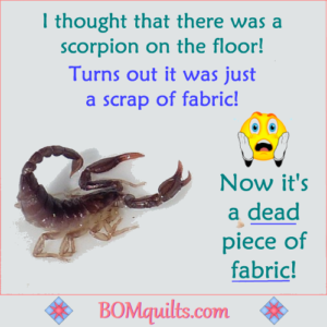 BOMquilts.com's Meme: I am terribly afraid of scorpions! We have them all summer long! I kill every one that I see & even some that I think I see!
