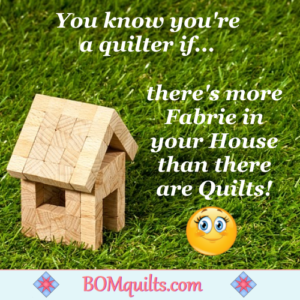 BOMquilts.com's Meme: Be forewarned that there are more fabrics than quilts in our house! Not the way it was meant to be just the way it is!