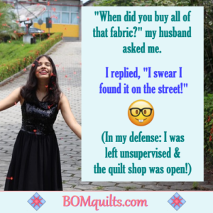 BOMquilts.com's Meme: I plead the 5th! I invoke my rights to an attorney & won't say another word without one! (That was a really great quilt shop, though!)