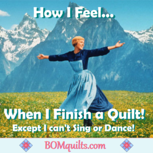 BOMquilts.com's Meme: Thank goodness that I'm nowhere near the Swiss Alps! Otherwise I might end up with broken bones, a sprained ankle or two & probably a concussion upon the completion of a single quilt!