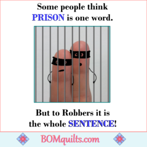 Can you imagine how many quilts I could make if I were to go to jail?! Do you think that the judge would allow me to bring my sewing machine into my jail cell?!