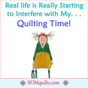 BOMquilts meme: Is it just me or is real life turning into a catastrophe?! It is really cutting into my quilting time & that just bums me out to no end!
