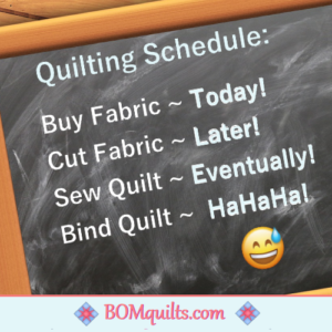 BOMquilts meme: A schedule is important to get things finished! But schedules are meant to be broken! HaHa!