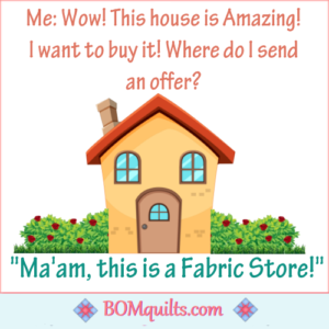 BOMquilts meme: SO what?! I might have made a mistake! But that house was gorgeous & I thought that it was for sale! Who would not want to buy a house that was filled to the brim with fabric?!!