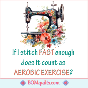 BOMquilts meme: I will do almost anything to get out of doing real exercise!