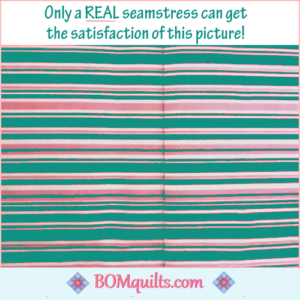 BOMquilts meme: Oh, the pleasure! There is nothing like it in the world! It makes me giddy when it happens & I pat myself on the back!