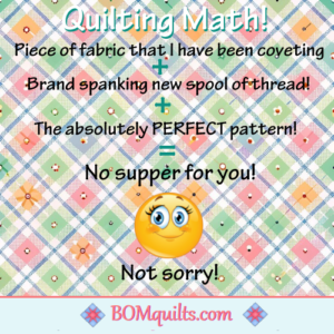 BOMquilts meme: My Quilting Math formula makes perfect sense to me! I don't see why my husband doesn't understand the logic in it?!
