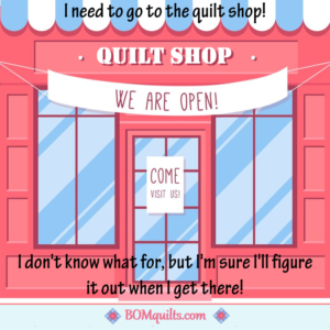BOMquilts meme: I just realized something & it makes me so excited! My stash report is my personal record & I don't share it with very many people!