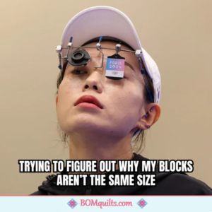 BOMquilts Meme: Sometimes it takes everything necessary to figure out where you went wrong!