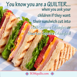 BOMquilts Meme: I wish that my kids had wanted their sandwiches cut like a I cut fabrics!