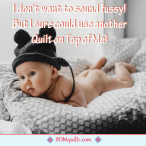 BOMquilts Meme: My poor grandson! I have made him a half-dozen quilts! Yet his mom thinks he is better off, with his hind end exposed & he gets fussy when he is cold!