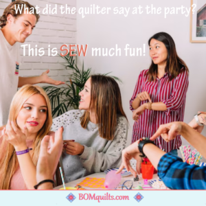 BOMquilts Meme: I love to sew! I love to quilt! The two of them together, means that I have SEW-perfect hobbies!