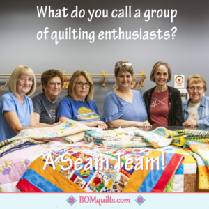 BOMquilts Meme: I really enjoy being a part of a quilt guild! I fit SEAMlessly in ours!
