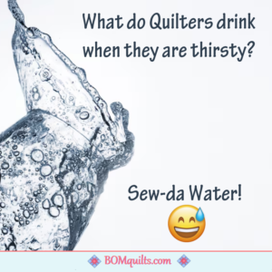 BOMquilts Meme: I am always so thirsty when I quilt! That is when I reach into the fridge for my Quilter's drink!