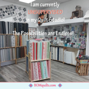 BOMquilts Meme: It is rare that I am in my quilt studio UNSUPERVISED! I cannot believe my luck! I do not know what to do with myself?!