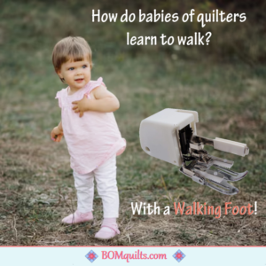 BOMquilts Meme: You are not supposed to put shoes on babies until after they turn one!