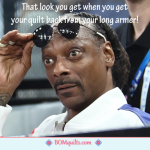 BOMquilts Meme: My quilt was so amazing, that it had me doing the Snoop!