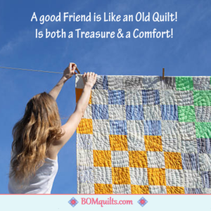 BOMquilts Meme: I will take a good friend any day of the week!