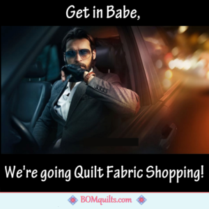 BOMquilts Meme: I would go anywhere with you, babe!