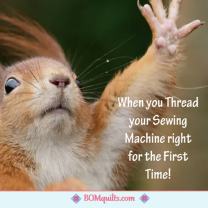 BOMquilts Meme: High Five! I Win the First Prize!