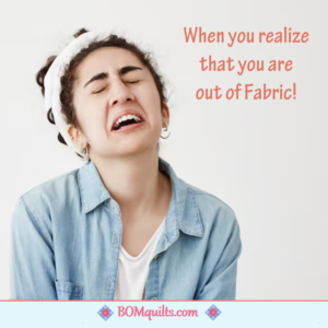 BOMquilts Meme: I cried & cried!