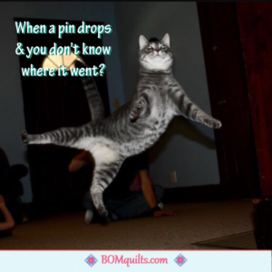 BOMquilts Meme: I think that my cat found the pin that I dropped! I guess it is better than my husband finding it!