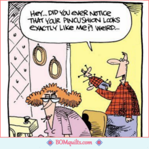 BOMquilts Meme: My husband is such a derp! His powers of observation astound me!