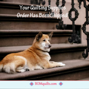 BOMquilts Meme: It might not have been a good idea to let my dog know that!