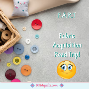 BOMquilts Meme: A lady should not do such a thing in public! But a Quilter has to make an Exception!