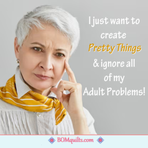 BOMquilts Meme: Adult Problems like my overdue credit card bills and/or my washing machine that has gone on the blink!