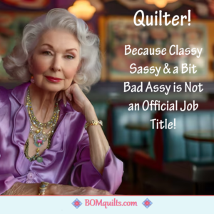 BOMquilts Meme: There is a reason that they Only call me a Quilter!