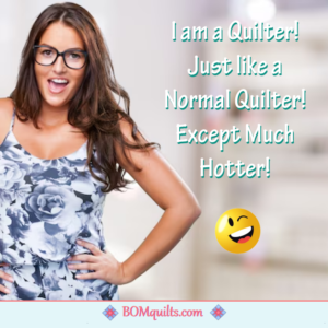 BOMquilts Meme: The only thing that is Normal is a town in Illinois!