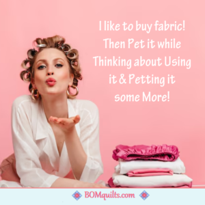 BOMquilts Meme: A Quilter knows that there is a process to buying Fabric!