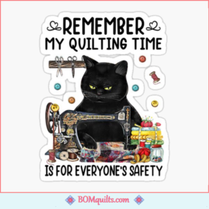 BOMquilts Meme: I confess that I made him learn to do it!