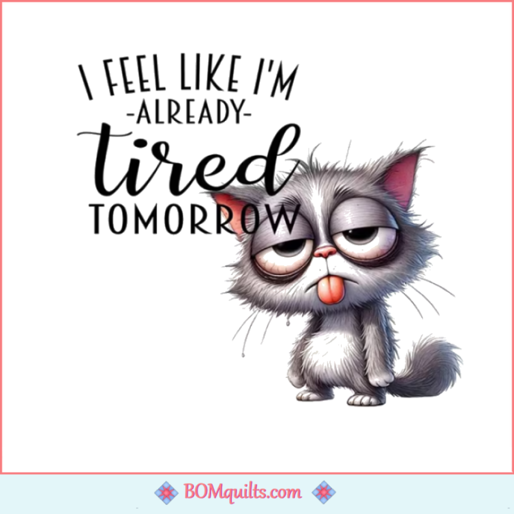 BOMquilts Meme: I go to bed exhausted & I wake up exhausted!