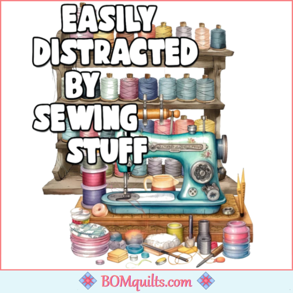 BOMquilts Meme: Oh, My goodness! Quilt Notions! Thread! Sewing Machines!